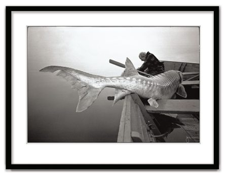 Fisherman